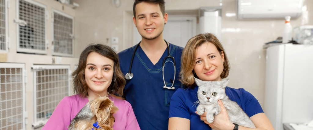 Honoring International Day of Veterinary Medicine