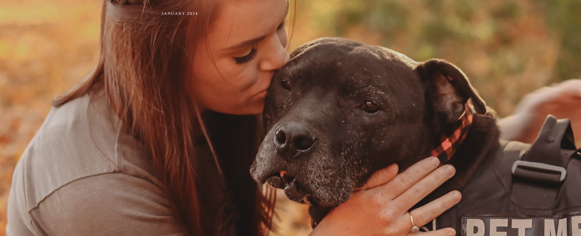 Amanda at Friends of the shelter