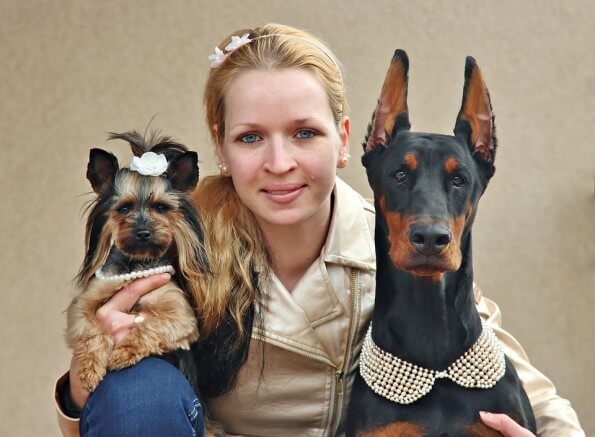 Our veterinary team in Hebron welcomes you and your pet!