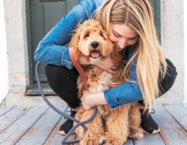 Addison&#039;s Disease in Dogs: What Every Pet Parent Should Know
