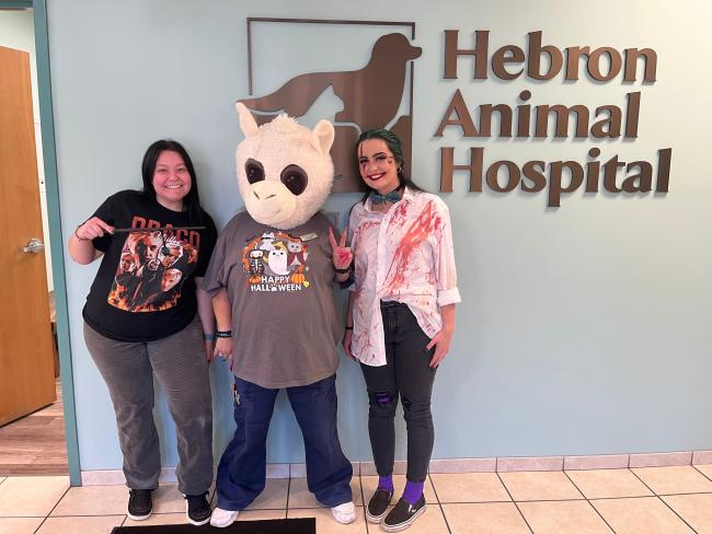 Hebron Animal Hospital