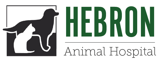 Hebron Animal Hospital