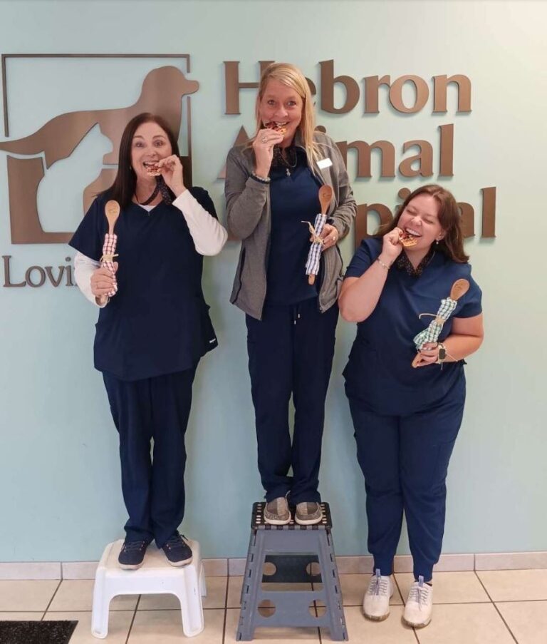 Paws-itively Spicy: The Vet Clinic Chili Showdown